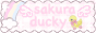 Sakura Ducky