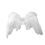 wings